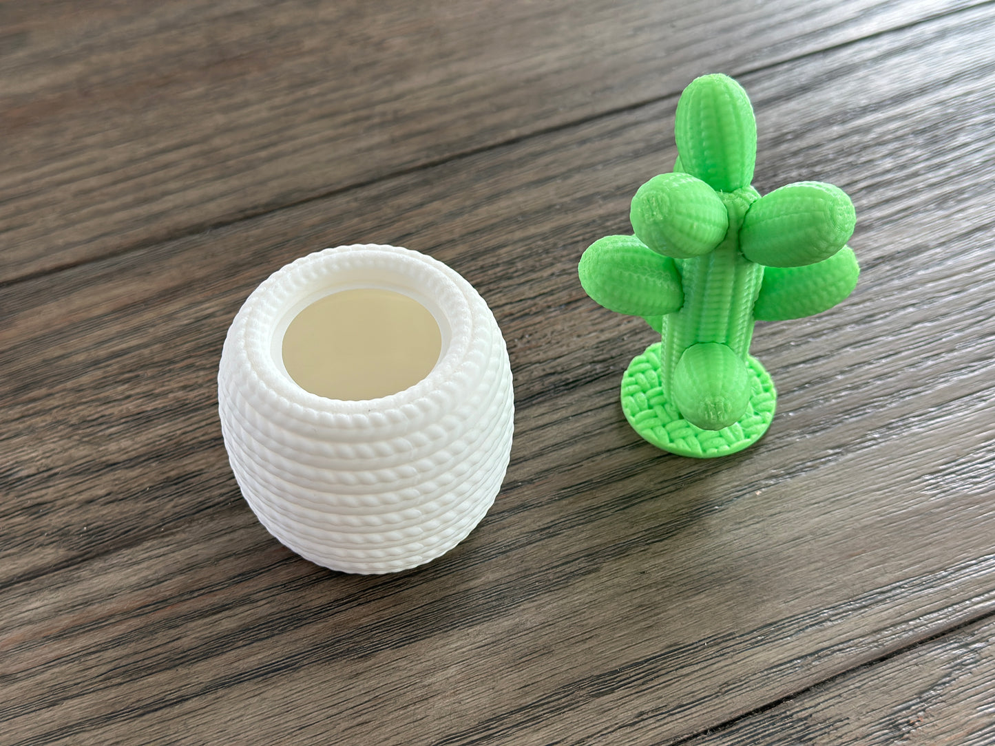 Simply Cactus