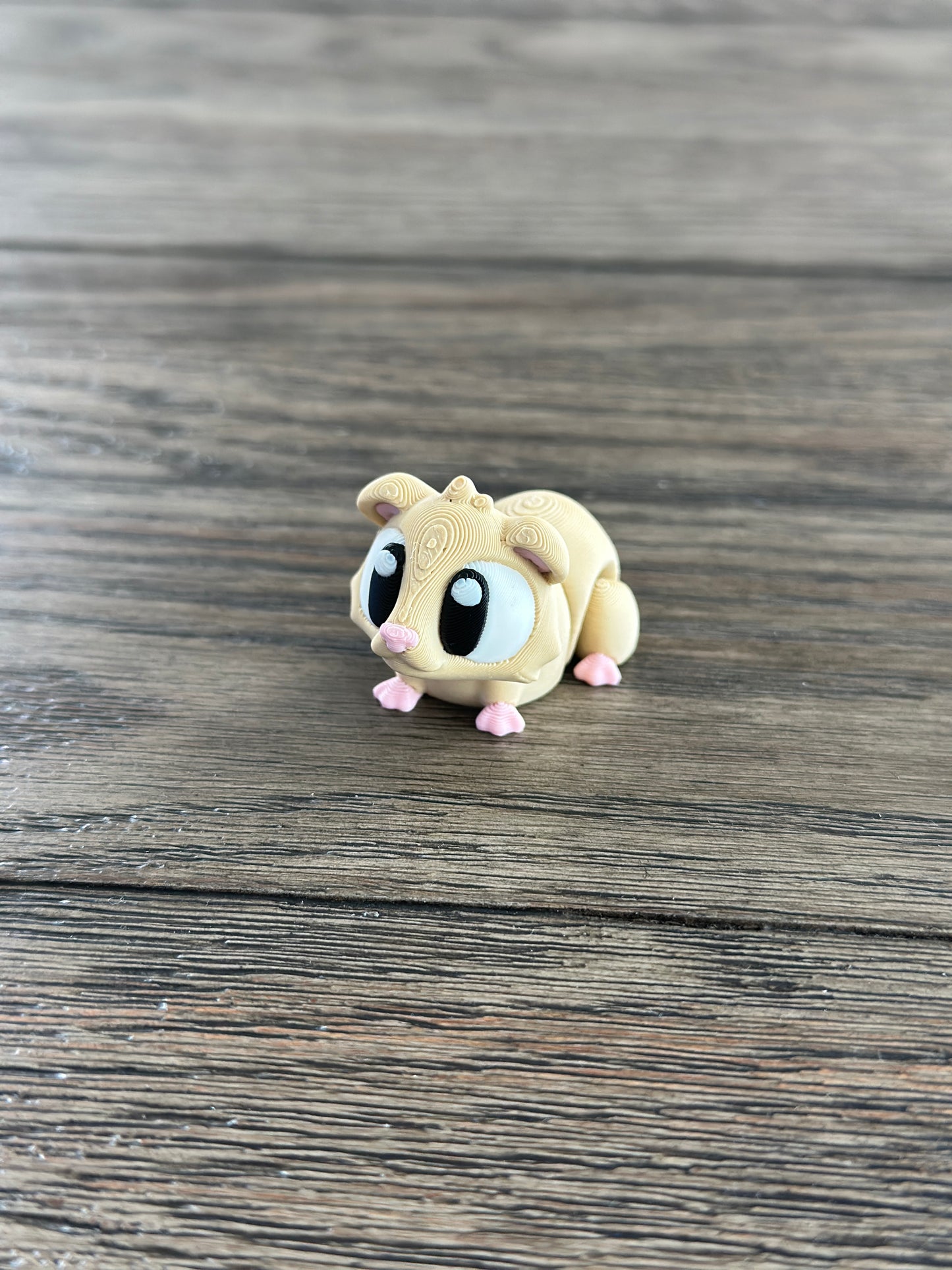 Mini Guinea Pig 🐹