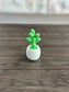 Simply Cactus