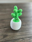 Simply Cactus