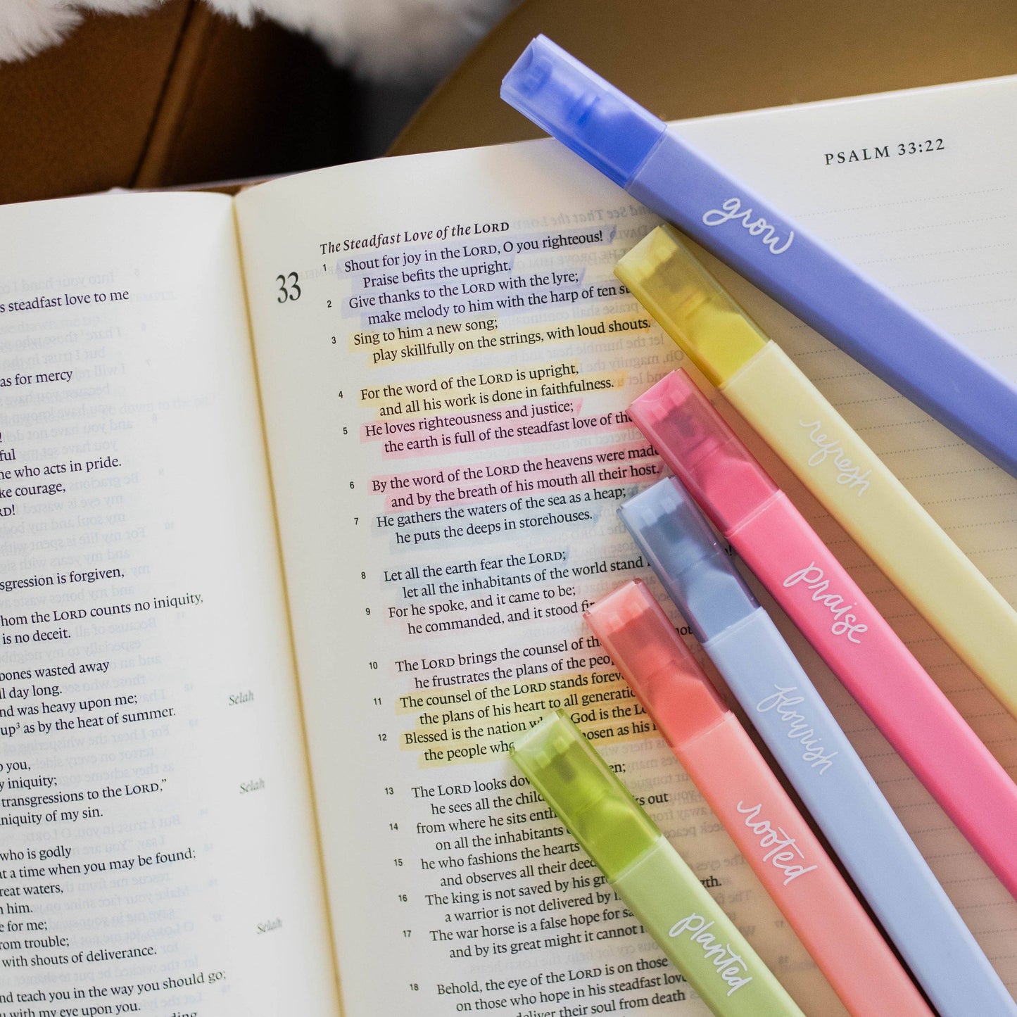 Garden Bible Highlighter Set 🌸