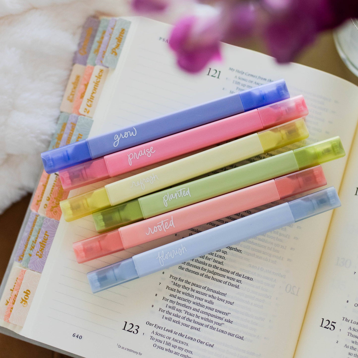 Garden Bible Highlighter Set 🌸